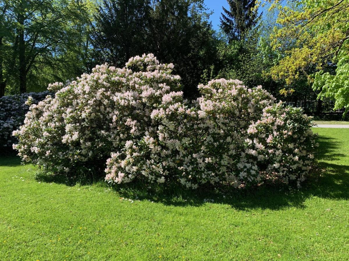 Schlosspark Grubhof - Mitterer Sankt Martin bei Lofer Exterior foto